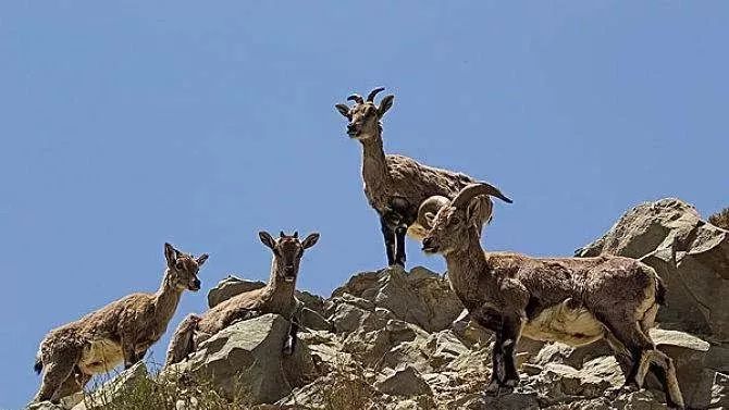 1608629830657736.jpg 1000.jpg