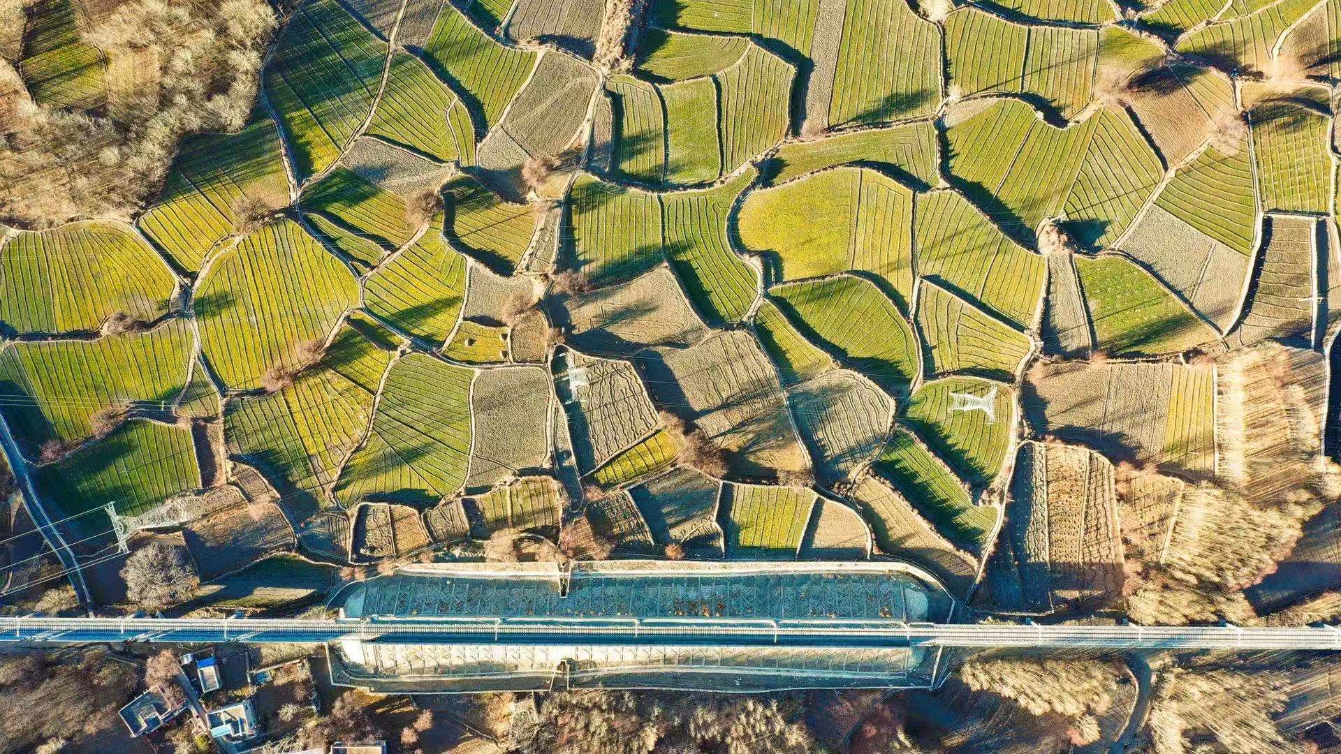 1609678365346762.jpg 微信图片_20210103204410.jpg