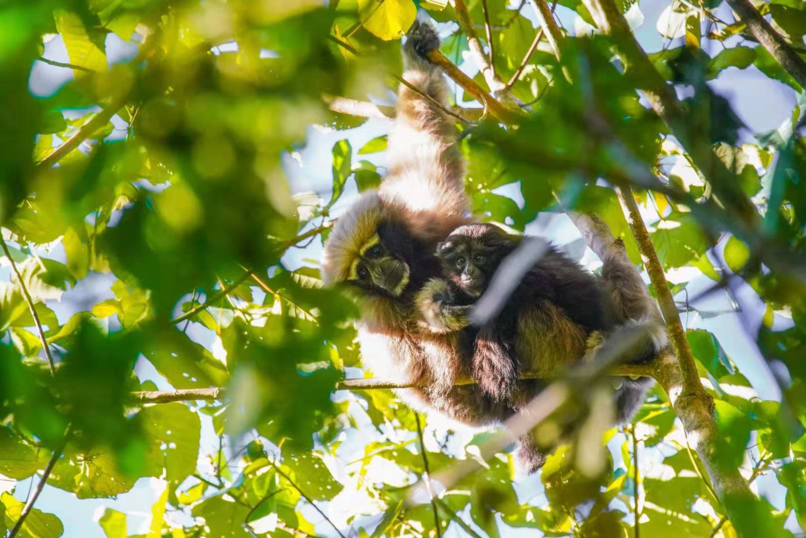 WechatIMG106.jpeg?x-oss-process=style/w10