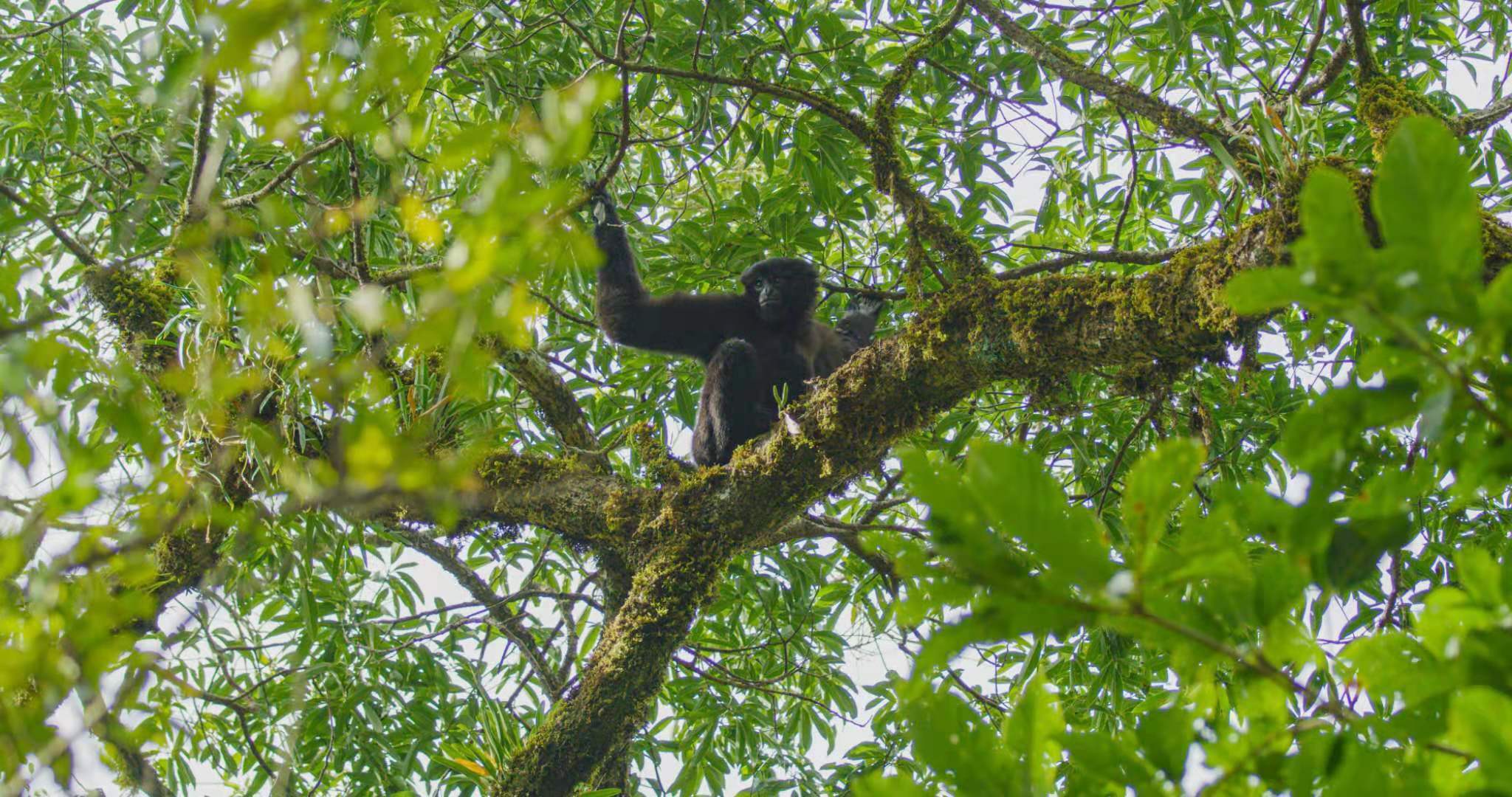 WechatIMG104.jpeg?x-oss-process=style/w10