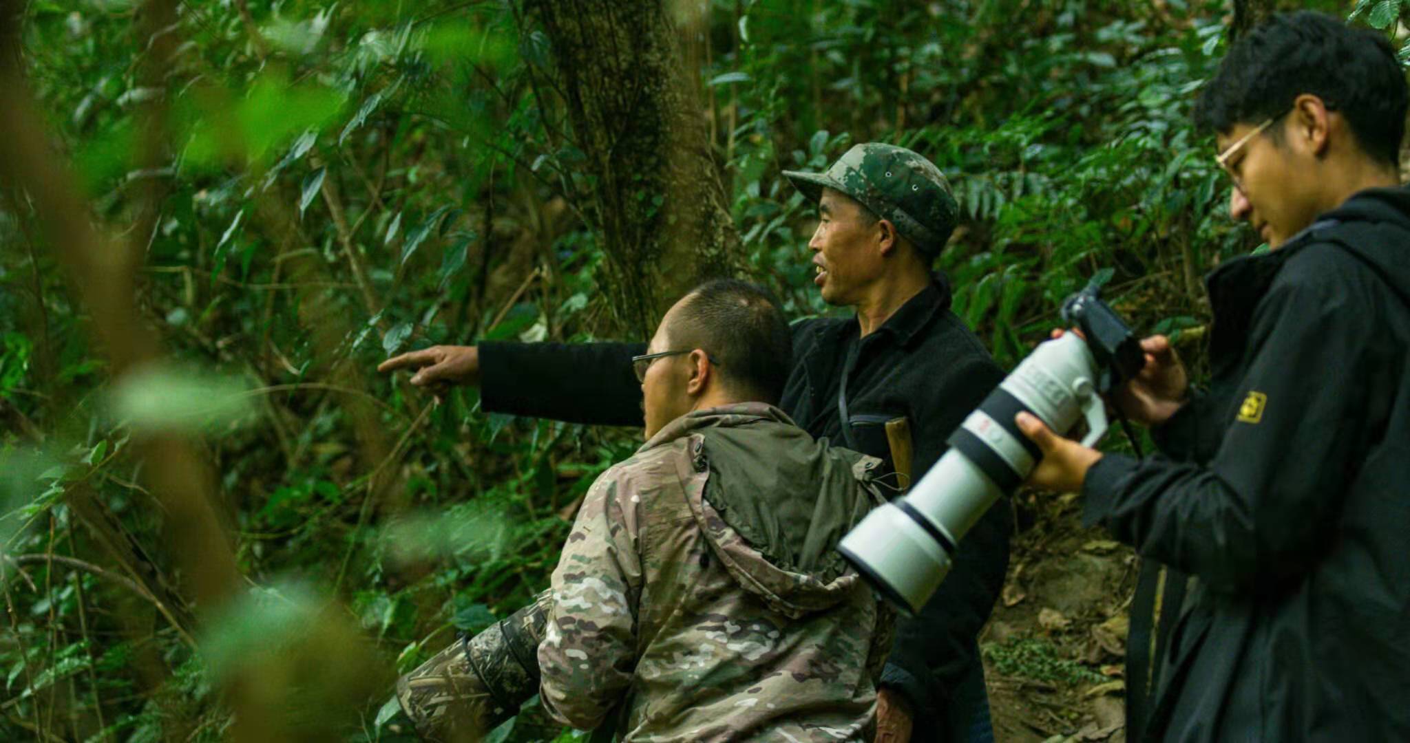 WechatIMG103.jpeg?x-oss-process=style/w10