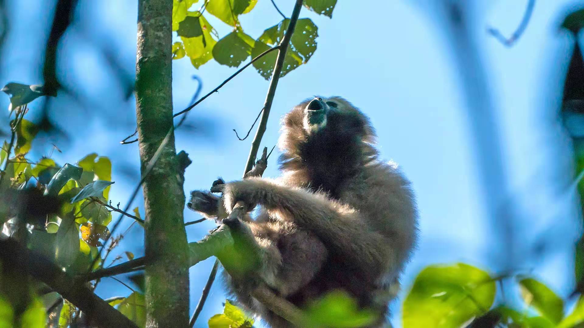 WechatIMG105.jpeg?x-oss-process=style/w10