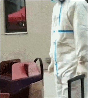GIF.gif