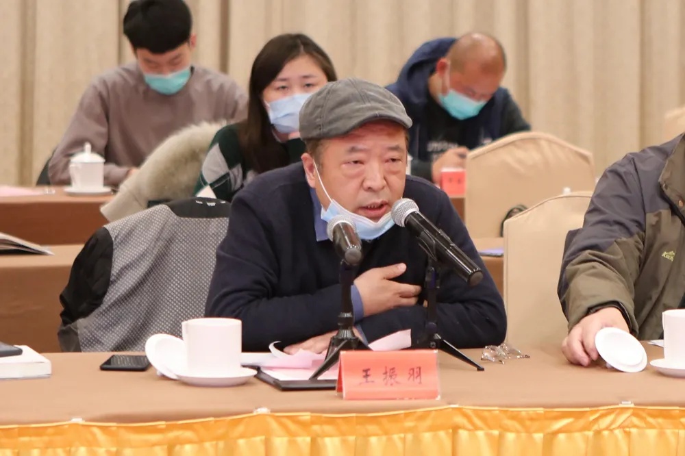 副会长,南京师范大学博导王晖,江苏凤凰文艺出版集团副总编辑王振羽