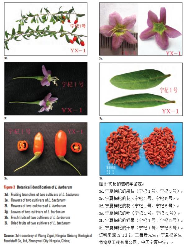 1612265962220375.jpg ec2402cc4fbb45d8778a00251e77d16.jpg