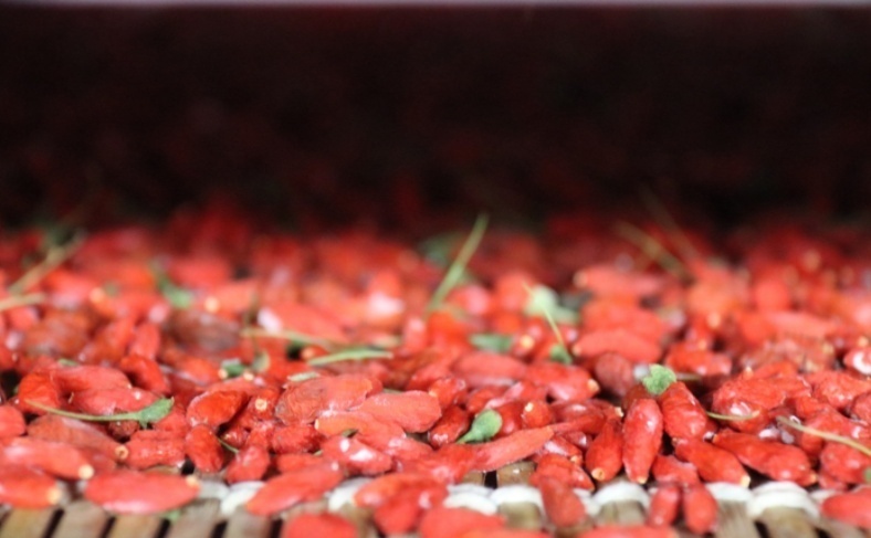 1612264838151817.png 5b2c03b7b056338391bc8296f70b990.png