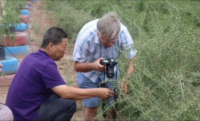 1612264503657630.jpg f81695cfc75f2621e796e728480a656.jpg