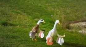 blob.png?x-oss-process=style/w10