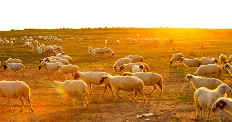 1614226514598210.jpg 9f0309bd98dea443a57e08f56954610.jpg