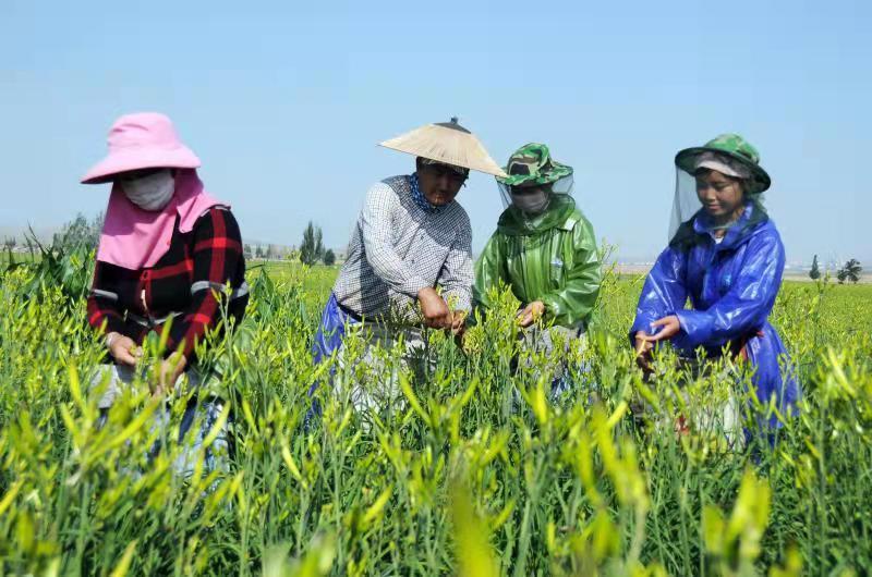 1614226569109879.jpg b18ff8d7d0baf9800bf62fcc95117d8.jpg