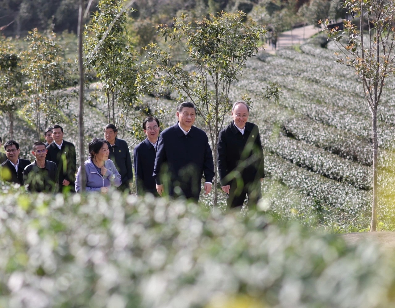 山水间读懂总书记的“绿色之约”