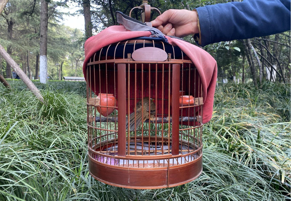 1616974113349389.png WX20210329-072815@2x.png