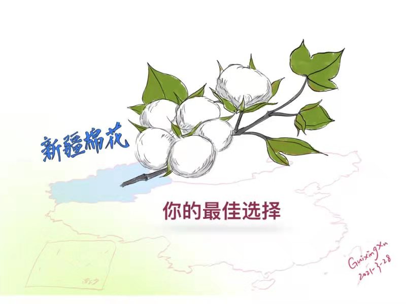 1617028957501928.jpg 1311237449.jpg