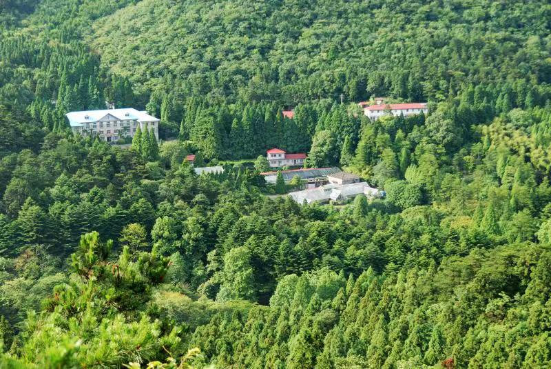 庐山植物园一览.jpg