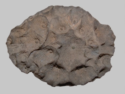 1618197205561817.png?x-oss-process=style/w10 image.png?x-oss-process=style/w10