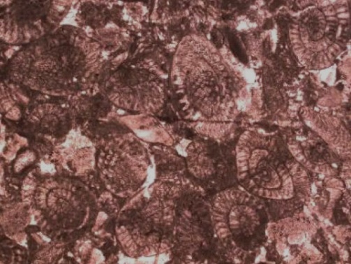1618197258930349.png?x-oss-process=style/w10 image.png?x-oss-process=style/w10