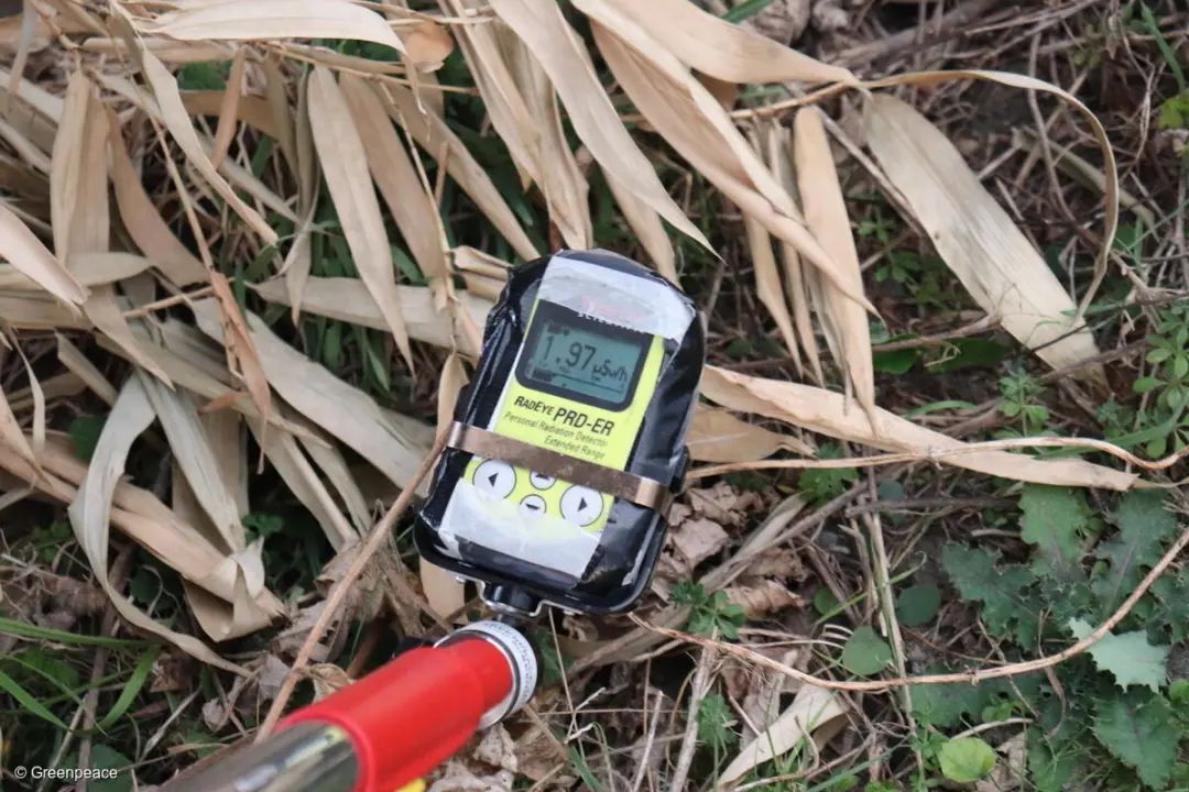 2020年11月20日,当地的核辐射水平远高于日本政府提出的0.23μSv/h。 2020年11月20日,当地的核辐射水平远高于日本政府提出的0.23μSv/h。