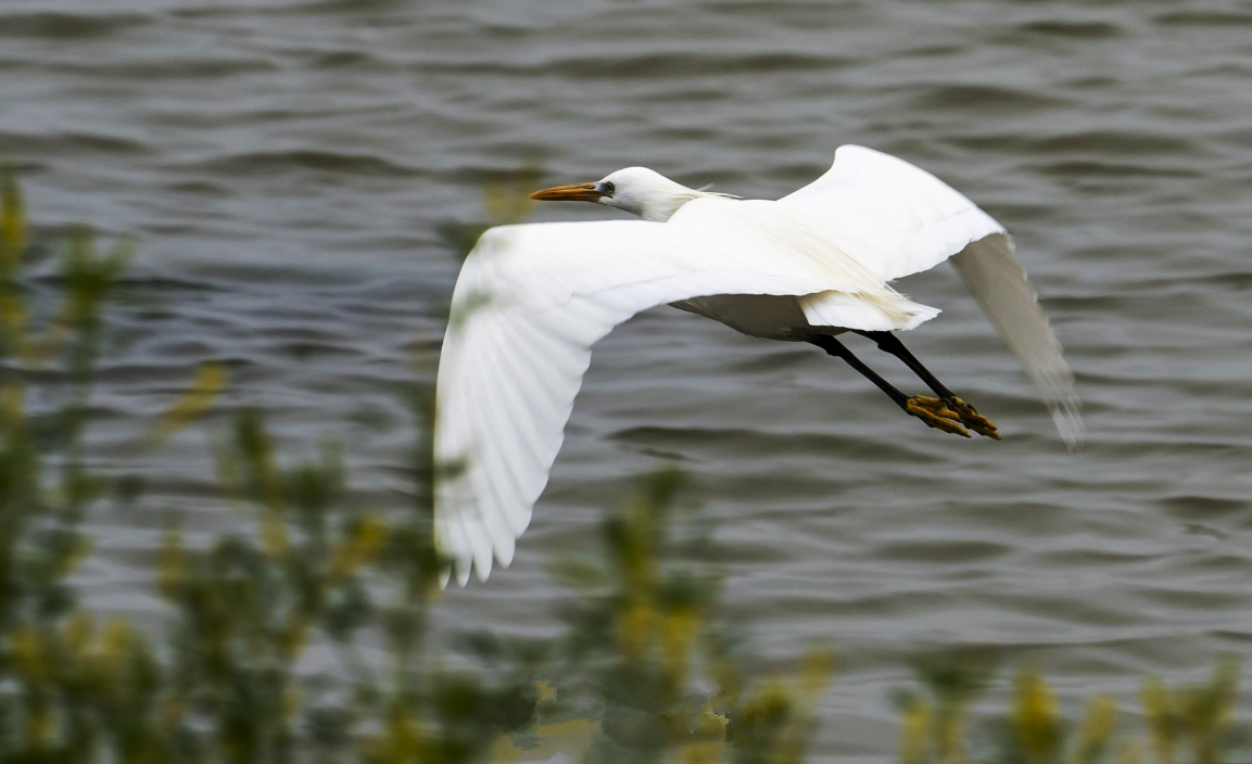 1619481490740581.png 2.png