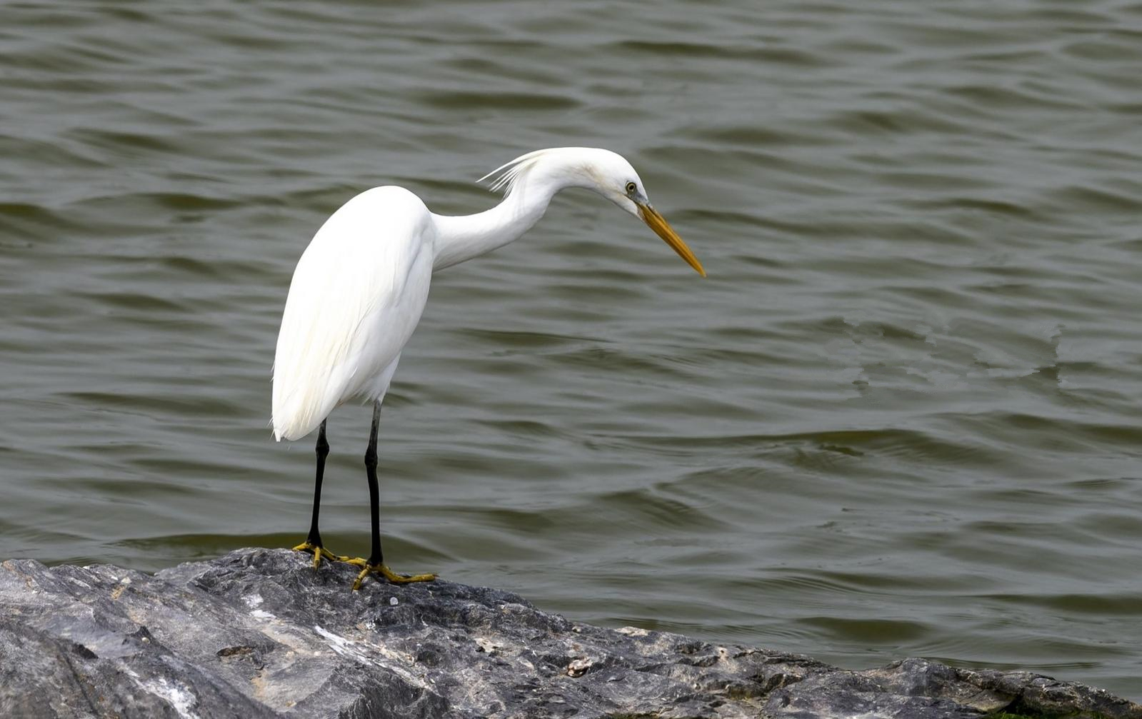 1619481507382647.jpg 4.jpg