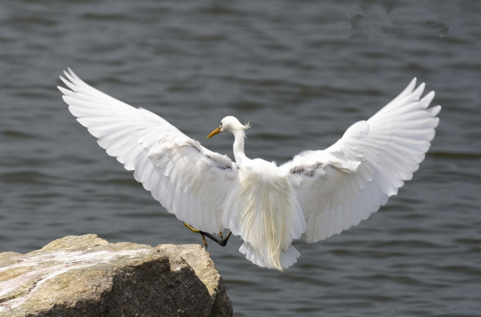 1619481531445719.jpg 6.jpg