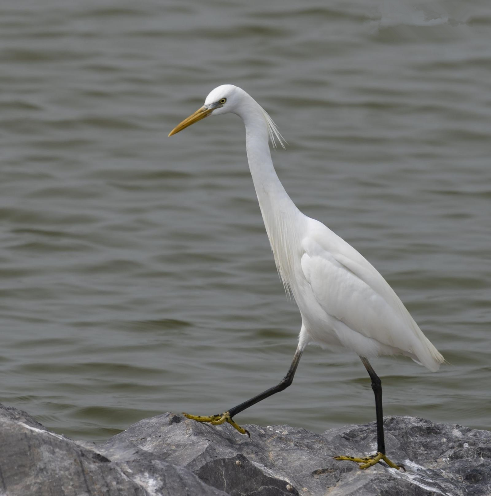 1619481541156019.jpg 7.jpg