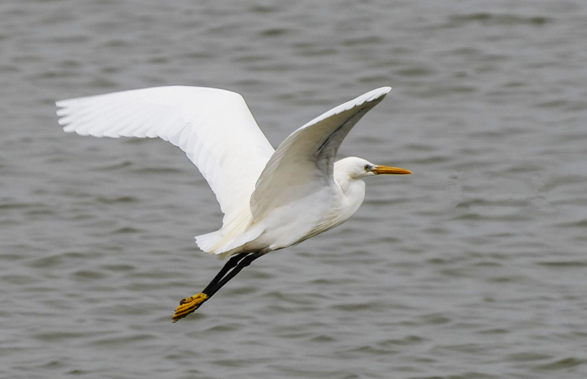 1619481550229298.png 8.png