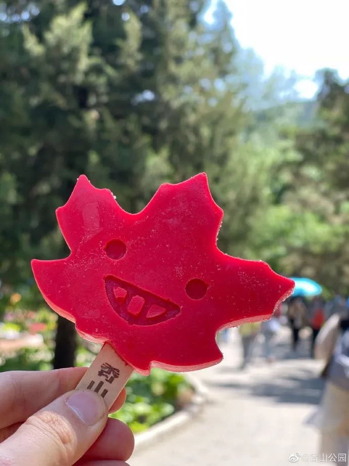 1619998983461990.jpg 21.jpg