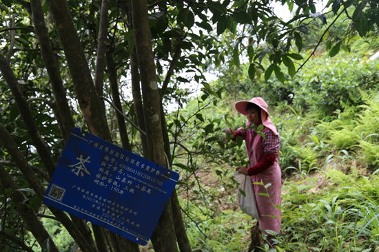 1620177296803815.jpg 微信图片_20210505084726.jpg