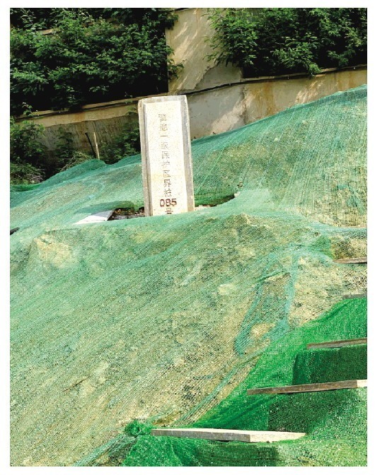 1620614379534257.jpg 0043c2d0-fbf5-43bd-a036-b22011984add.jpg