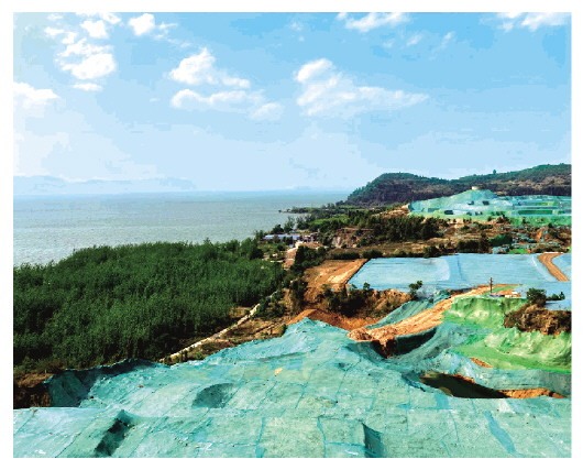 1620614494800570.jpg 059563c1-8b6c-4d3c-b598-c533601963d2.jpg