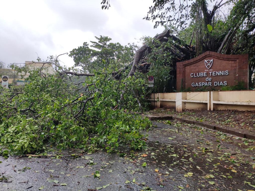 印度遭热带气旋“陶特”侵袭，至少10人死亡