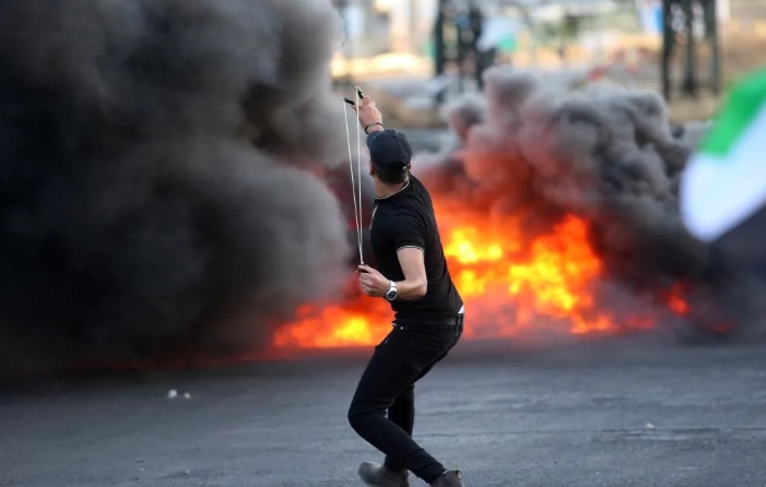 23.png?x-oss-process=style/w10