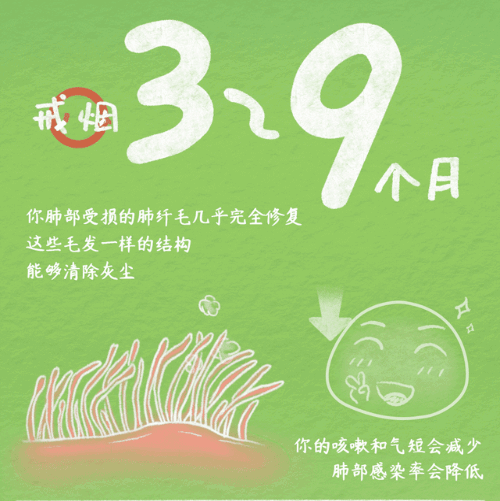 dongtu6.gif