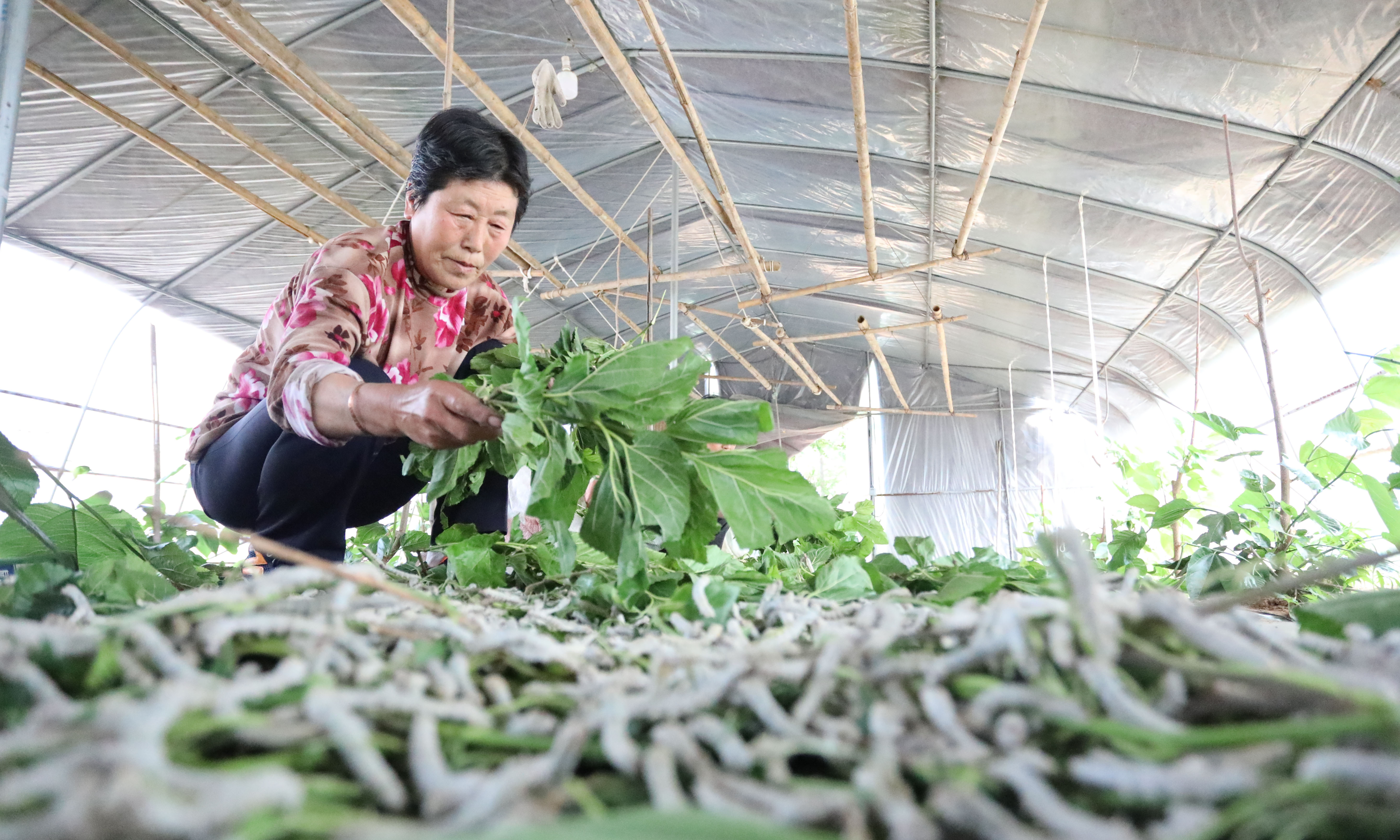 1622731354797140.jpg?x-oss-process=style/w10