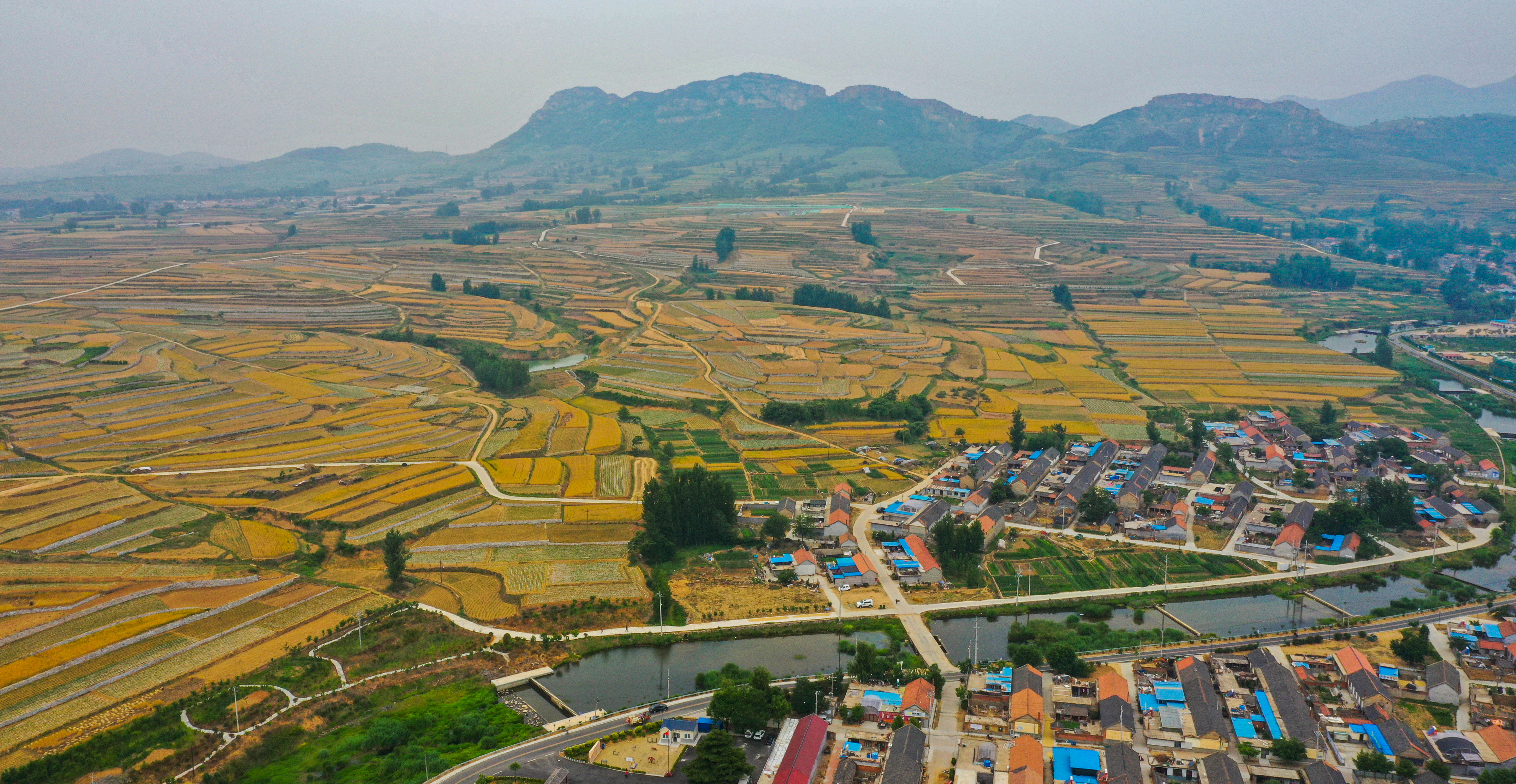 航拍日照东港醉美梯田千亩梯田纵横密布风光无限