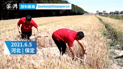 这块路牌火了！送给今天高考的你_新闻_央视网(cctv.com)1.gif