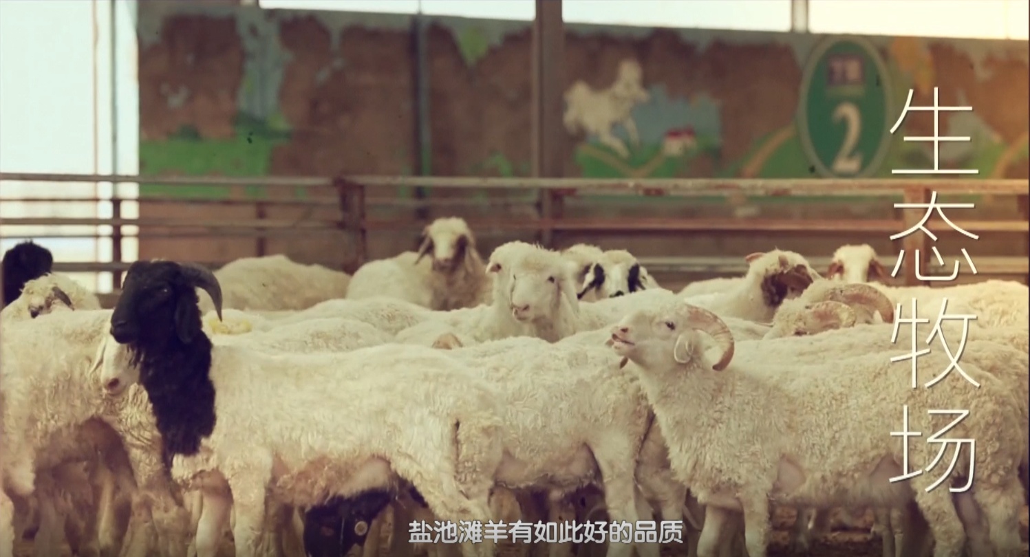 微信图片_202106081817091.png