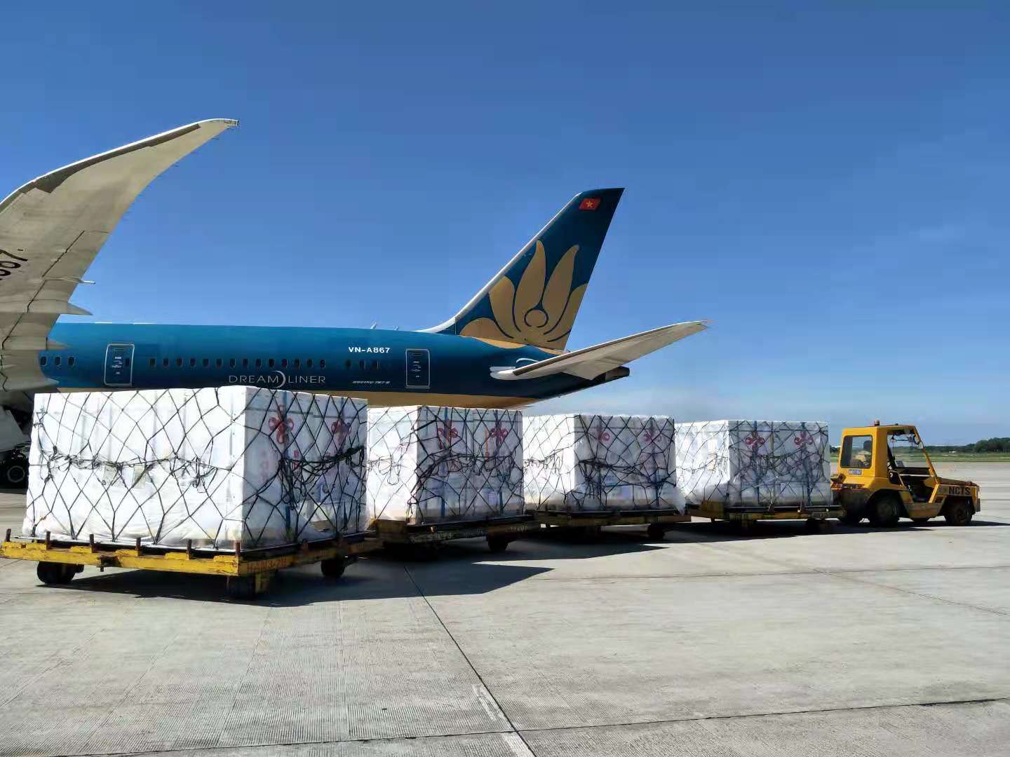 1624181412929397.jpg 3.jpg