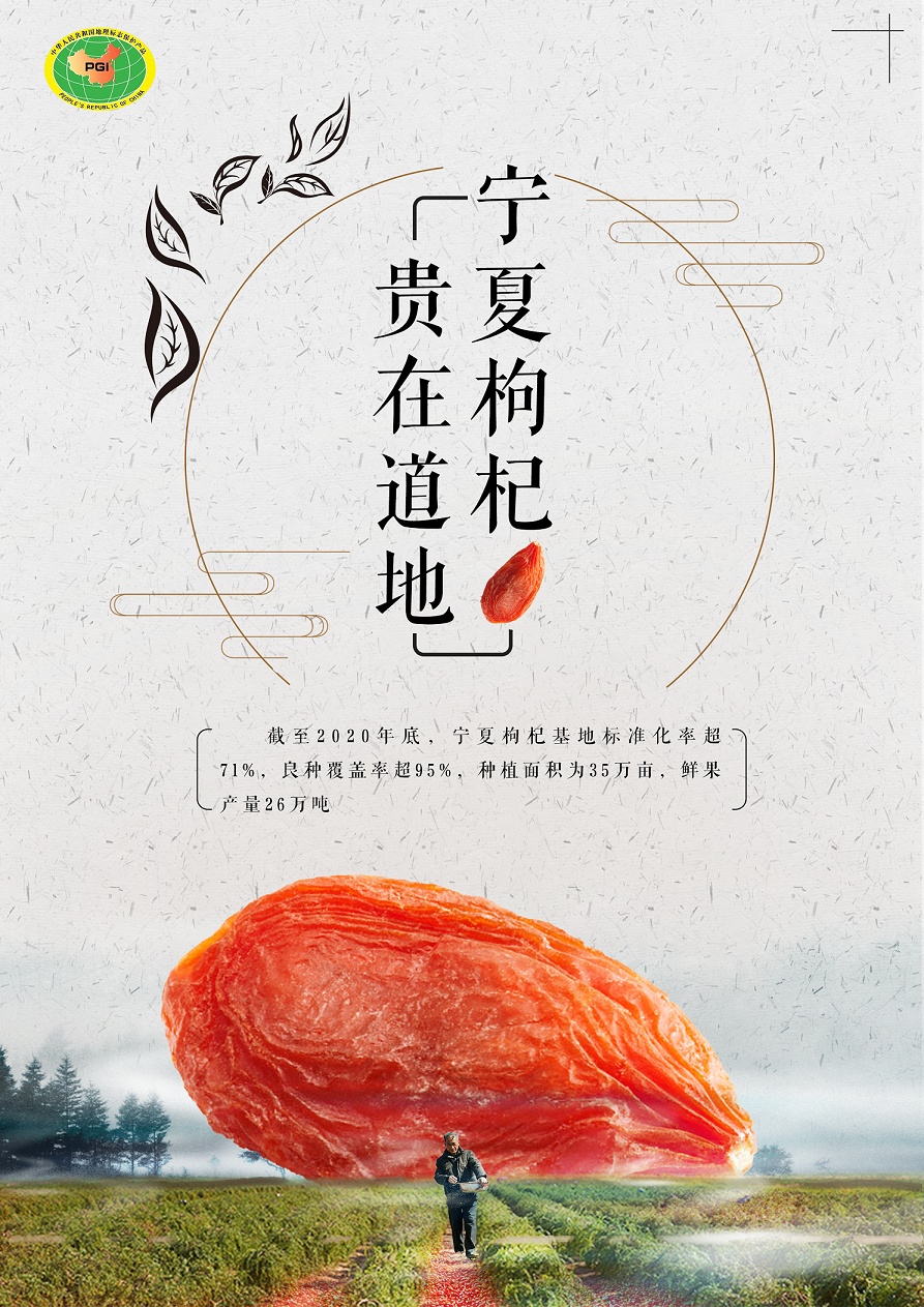 网信办枸杞海报3—标准化基地篇.png