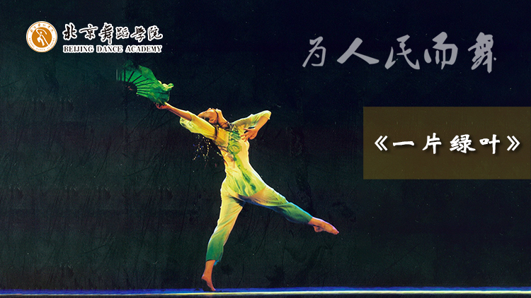 北舞庆祝建党百年百部作品展播一片绿叶高度