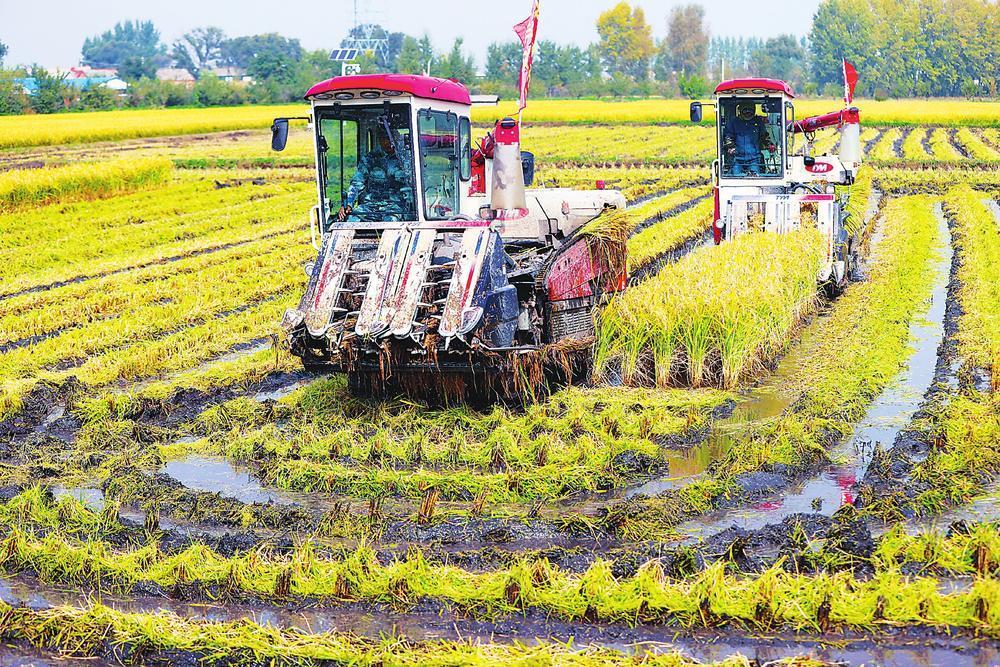 吉林省农业现代化走在全国第一方阵