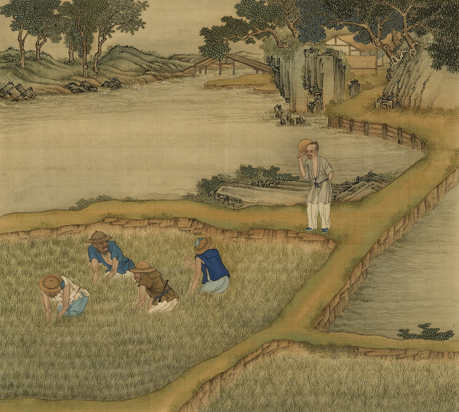 诗画里的小暑节气