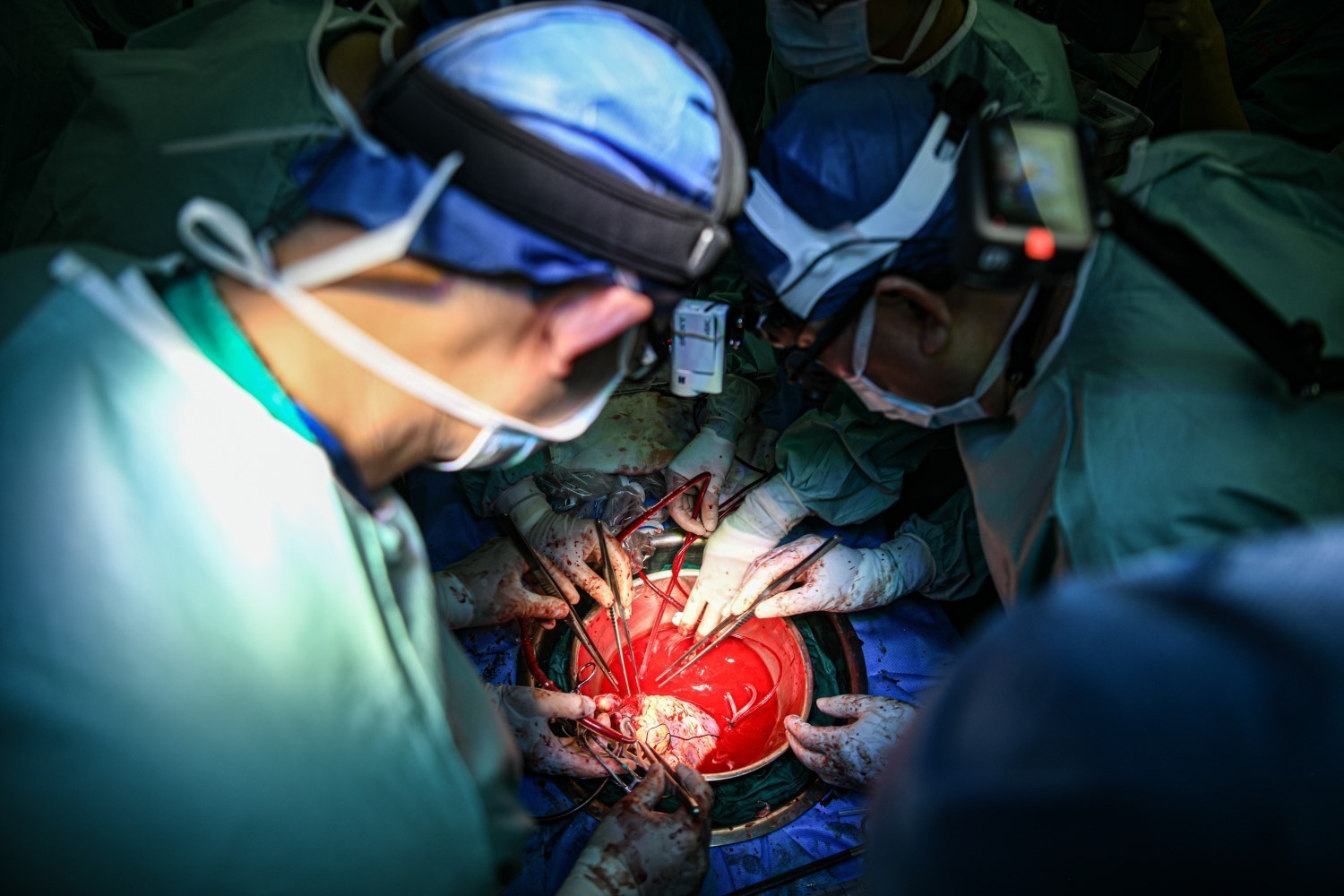 1626406469780230.jpg 1.jpg