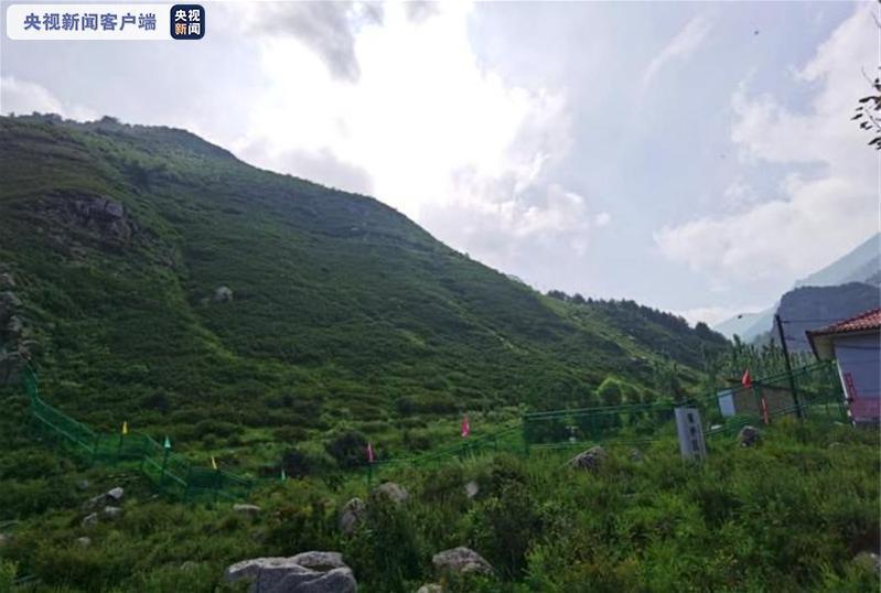 16名登山者违法擅闯自然保护区，每人罚款5000元