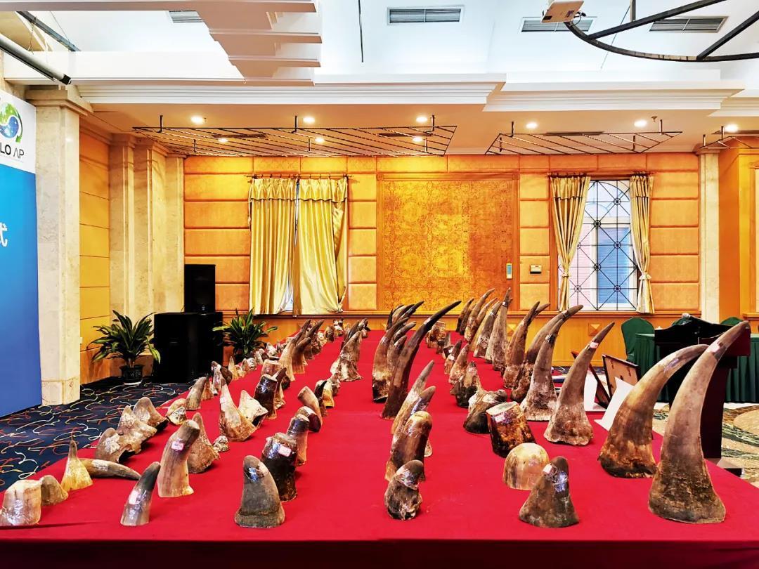 1626614105437408.jpg 微信图片_20210718211404.jpg