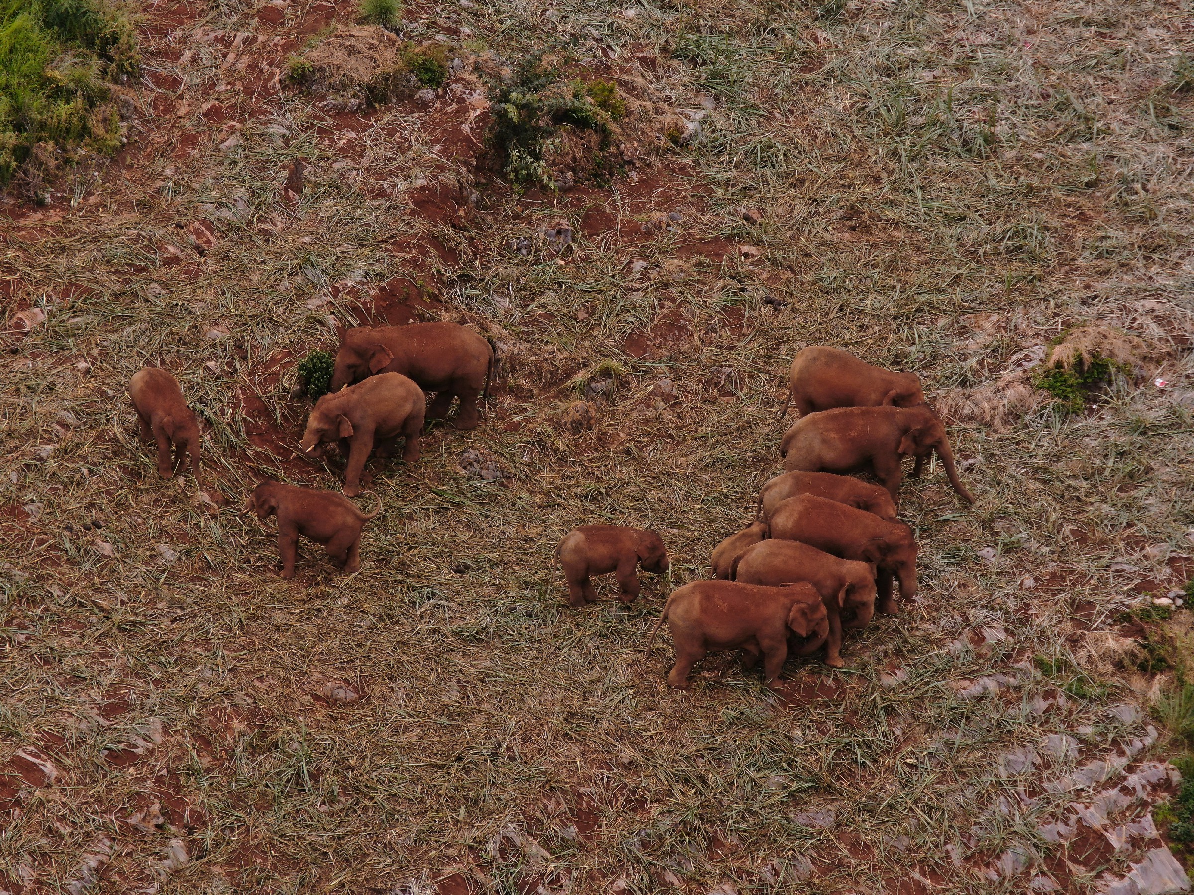 云南省森林消防总队提供 (5)~1.jpg