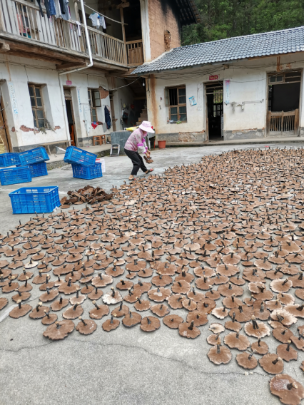 1626958284529420.png 图片2.png