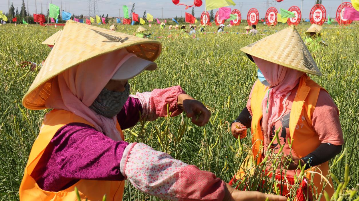 图片1.png?x-oss-process=style/w10