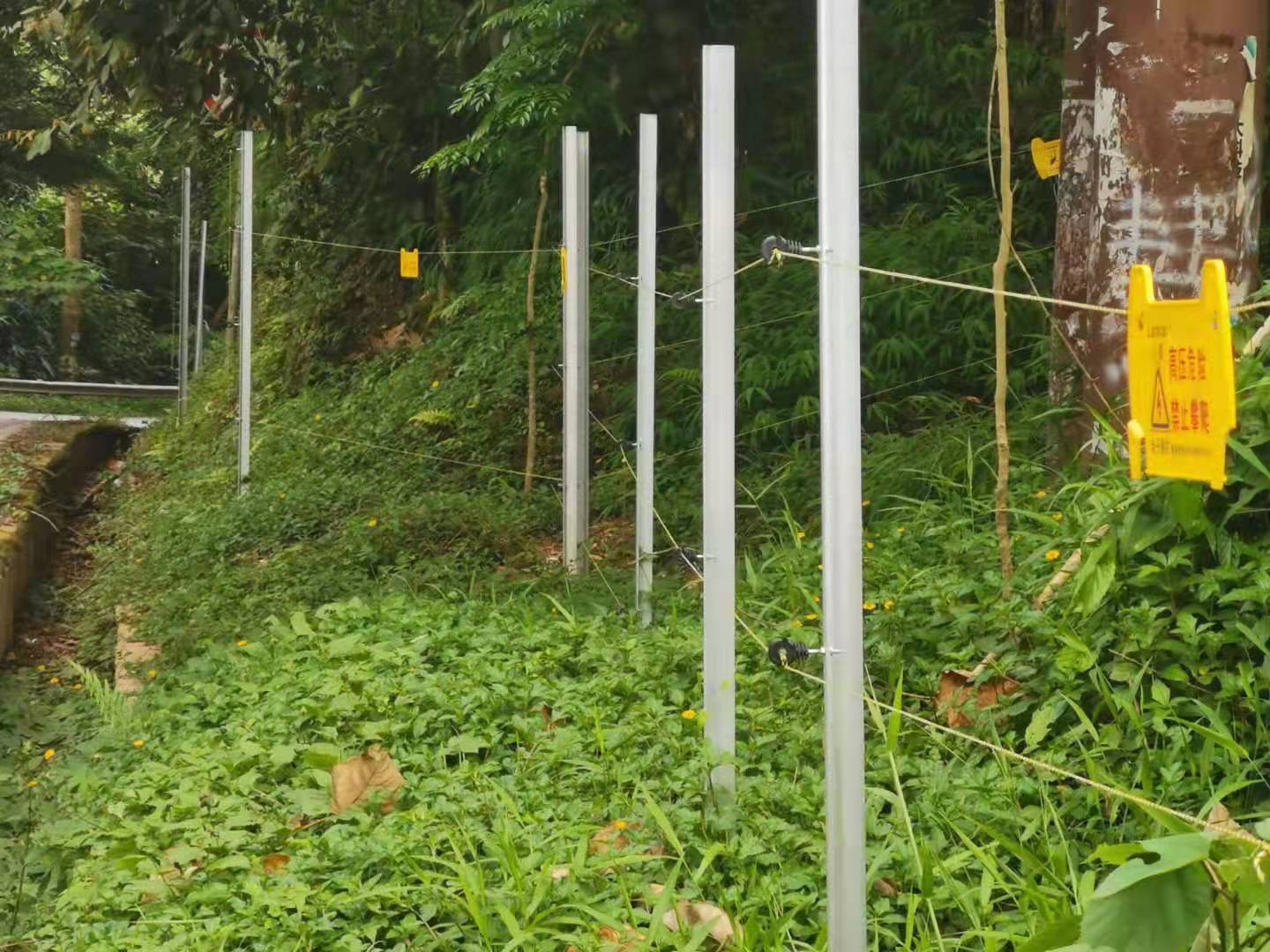 1627870987164581.jpg 防护栏.JPG