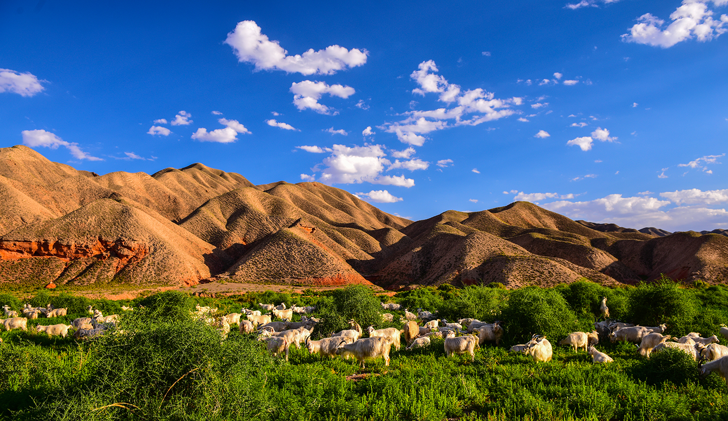 图集甘肃景泰红沟映日丹霞别样红